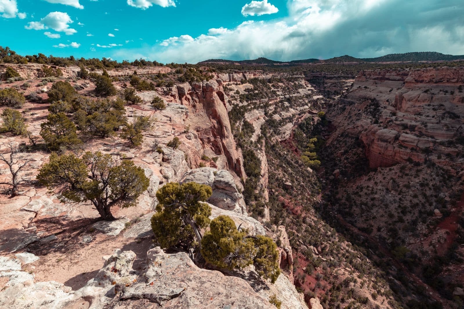 Canyon cliffs and desert below the Redlands
